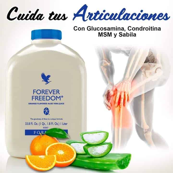forever freedom aloe vera glucosamina condroitina msm y vitamina c 1 litro 5